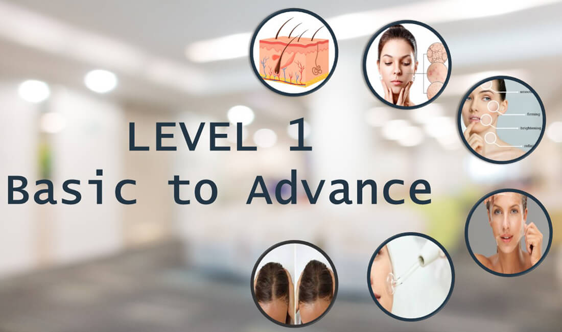 Level- 1  Basic to  Advance Skin Aesthetic Course